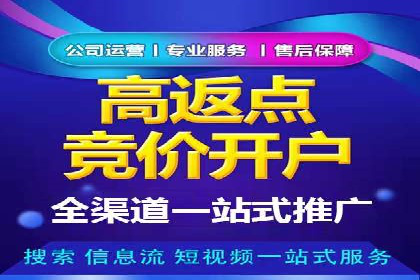 百度广告推广实战案例解析